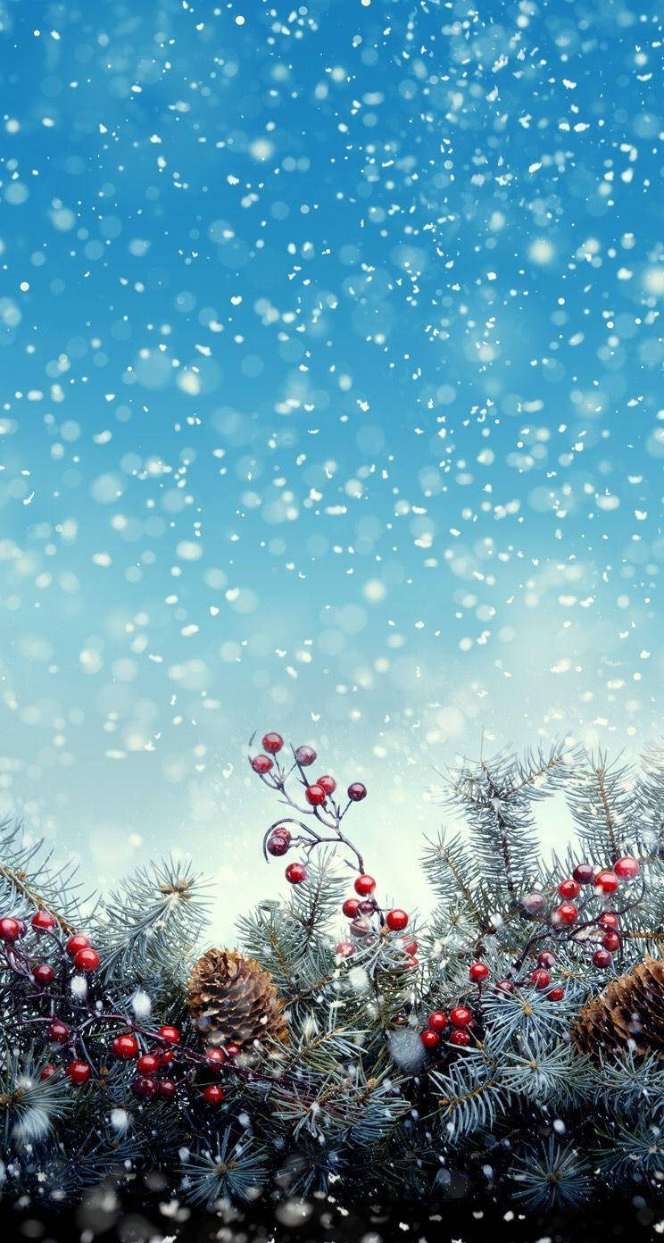 فواكه عيد الميلاد على خلفية هاتف شتوية خلفية