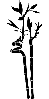 قطرة ماء على خلفية سوداء خلفية