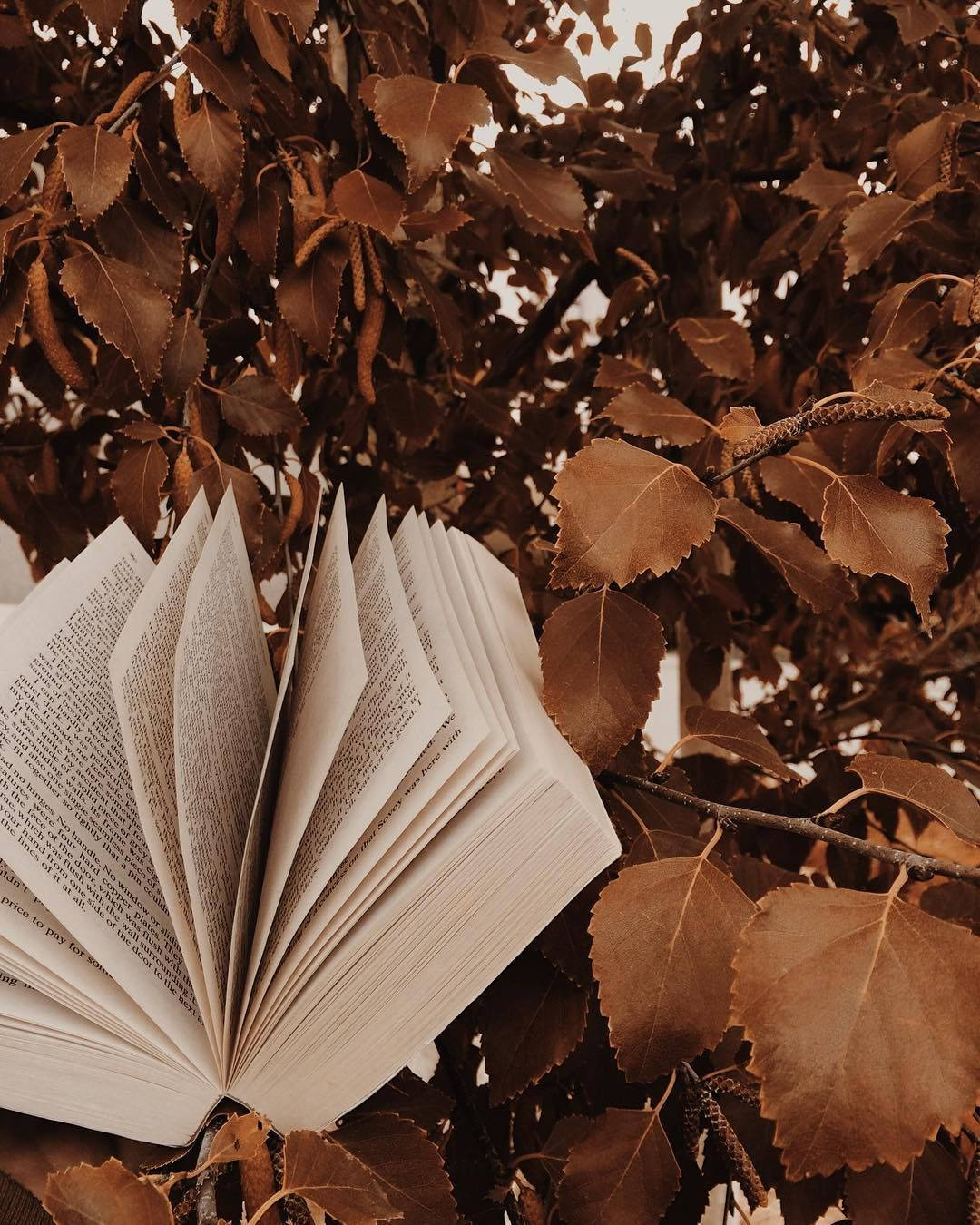 كتاب بني فاتح جمالي على شجرة خلفية
