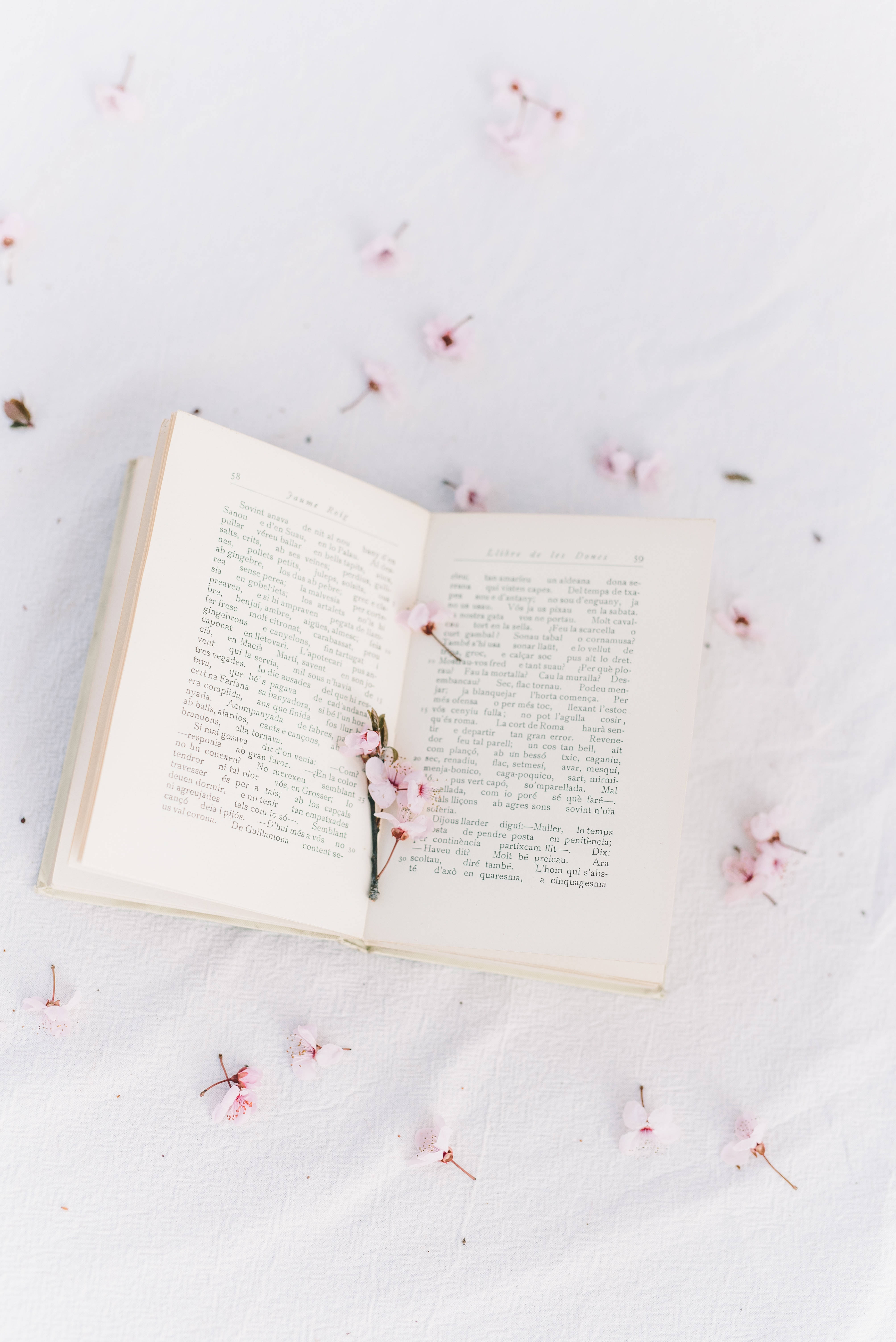 كتاب ساكورا بأسلوب بريبي خلفية