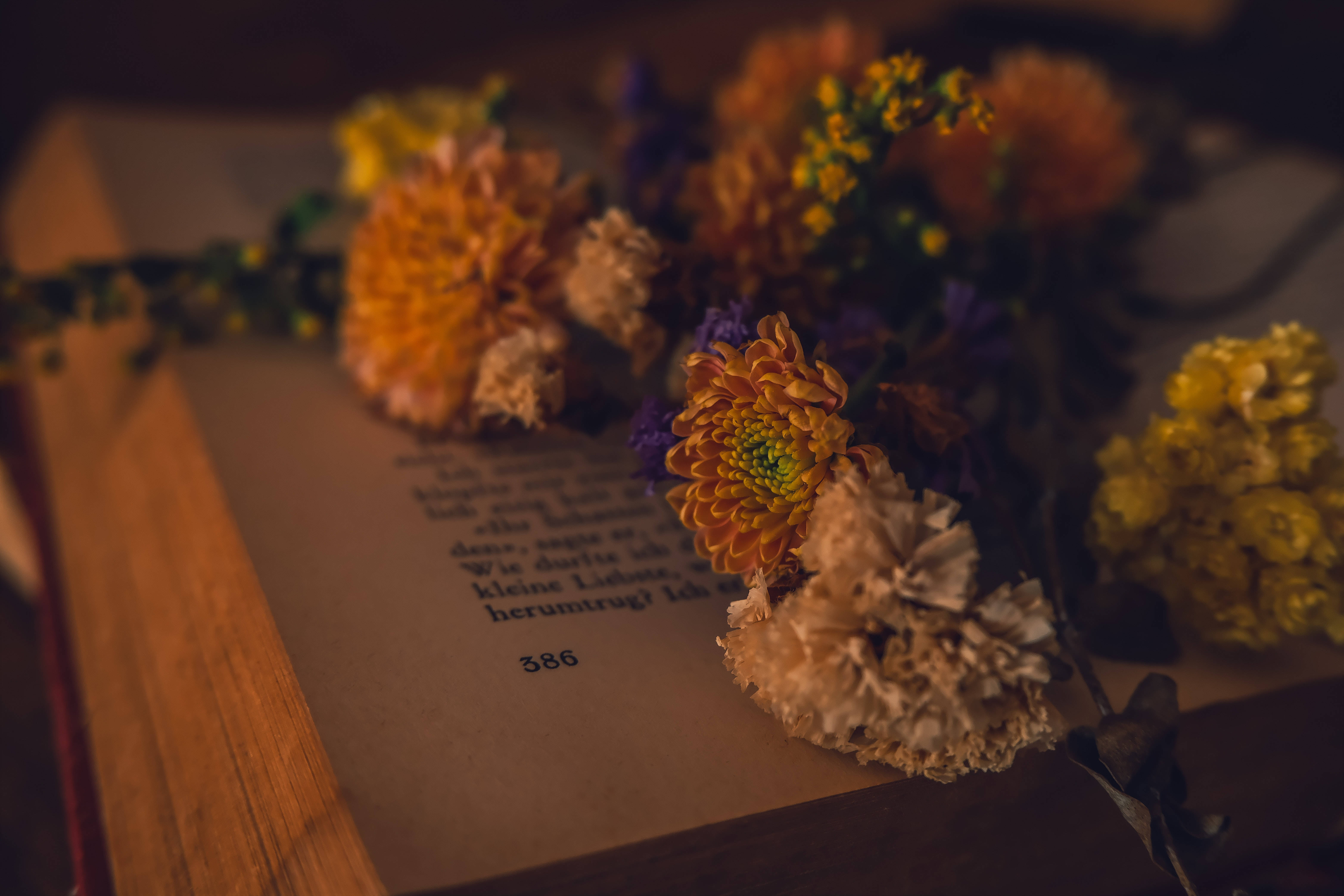 كتاب مفتوح مع الزهور ديسكتوب أكاديميا داكن خلفية