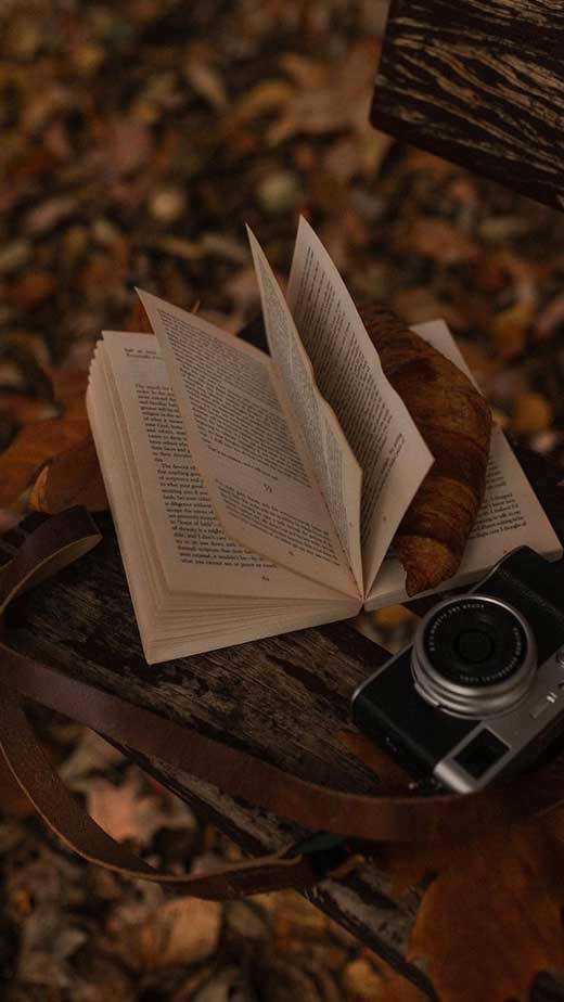 كتاب وكاميرا باللون البني الداكن الجمالي