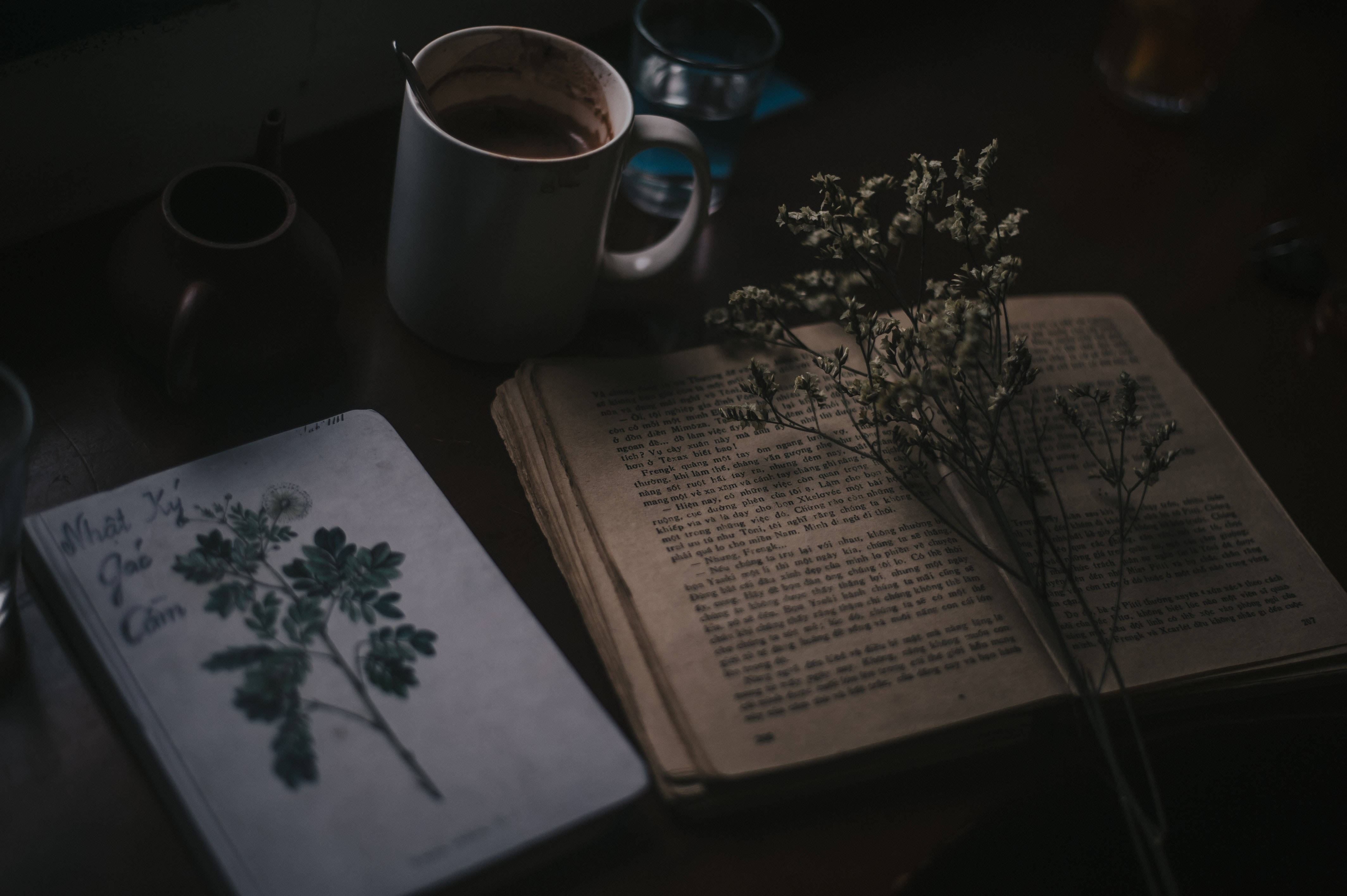 كتب ونباتات بأسلوب البريبي خلفية