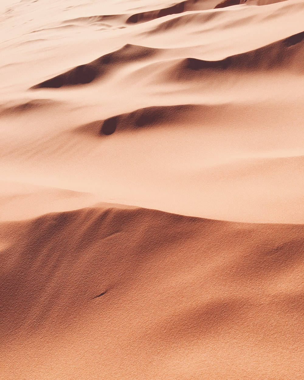 كثبان رملية جمالية بنية فاتحة خلفية