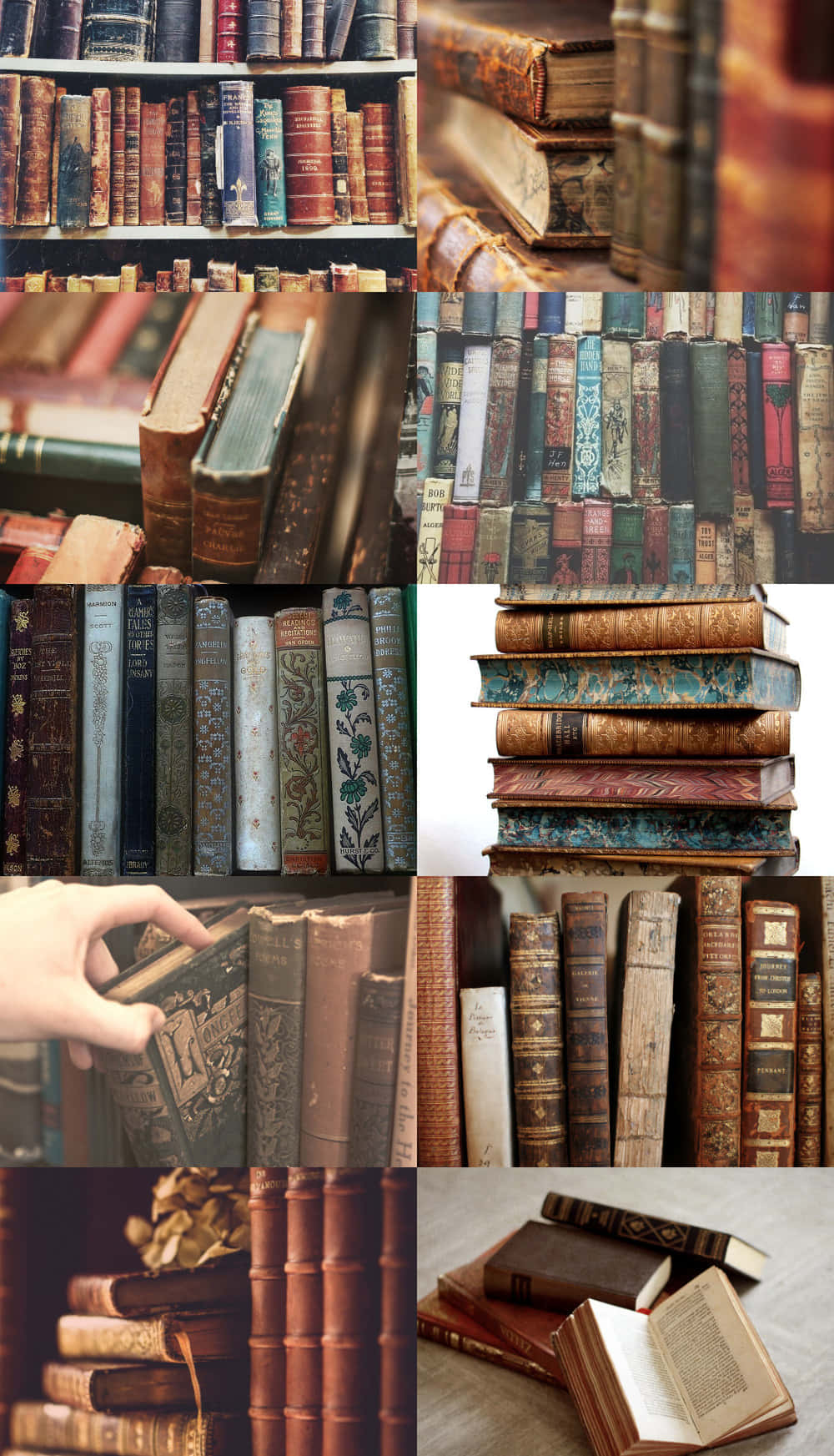 مجموعة من الكتب القديمة على رف خلفية