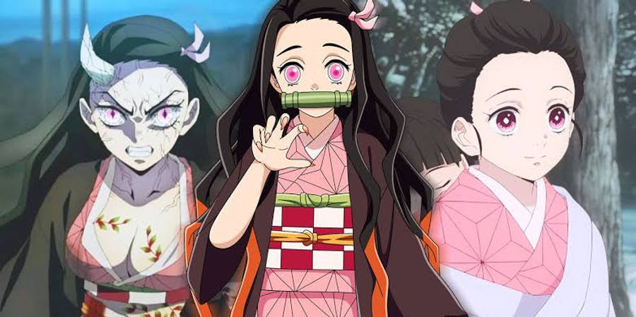 مراحل حياة نيزوكو المختلفة من أنمي Demon Slayer خلفية