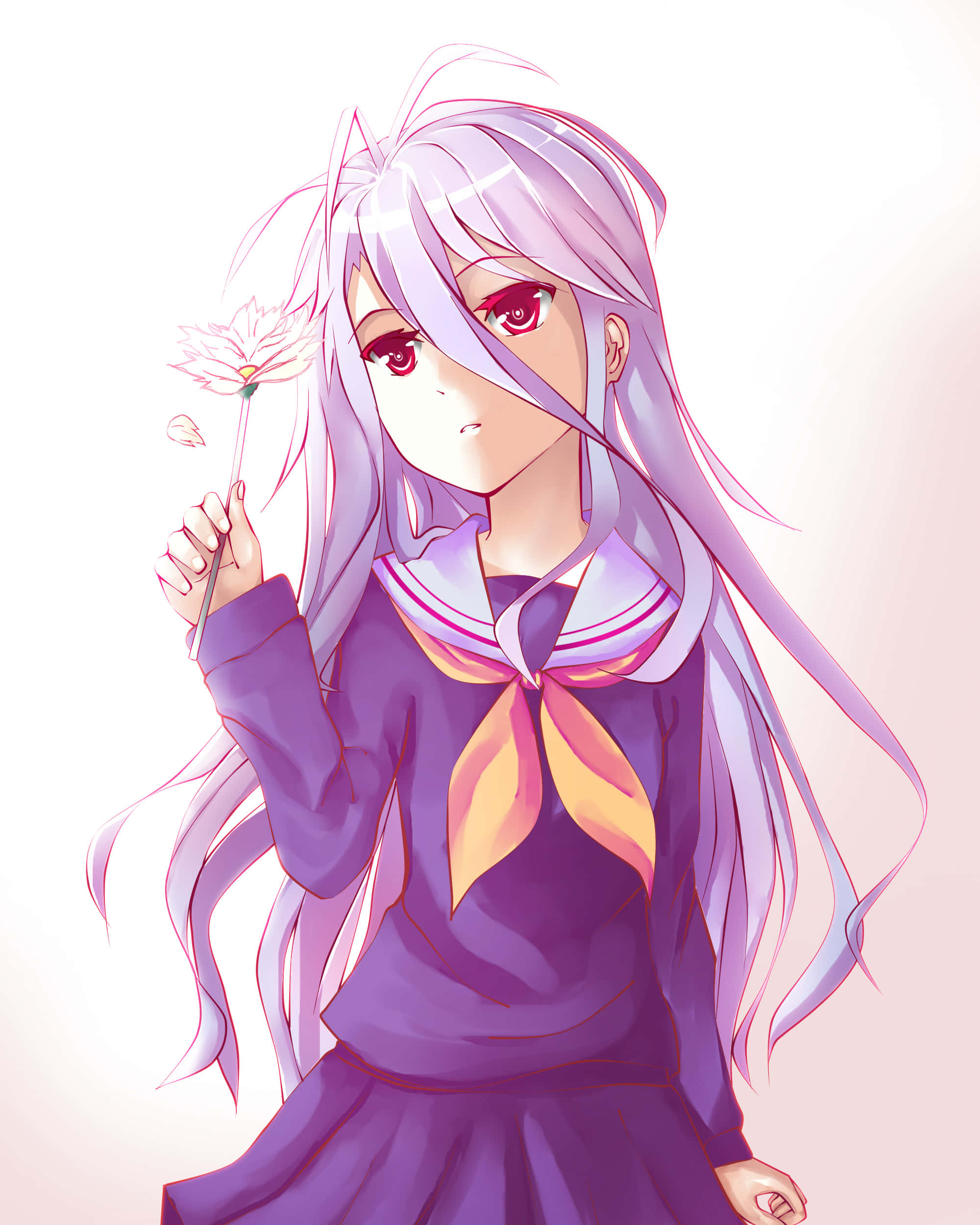 مرحبًا بك في عالم No Game No Life خلفية