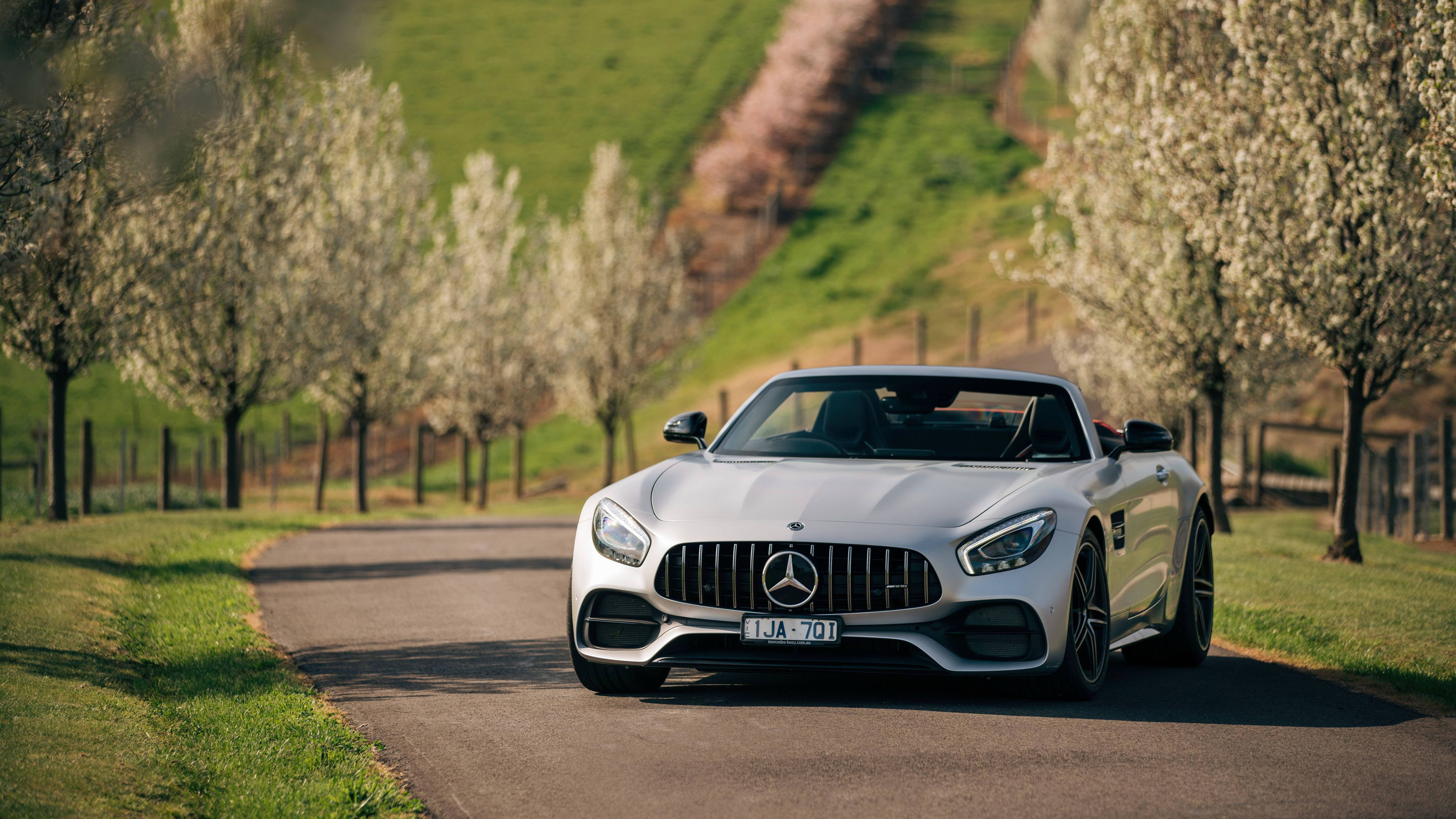 مرسيدس AMG 4K خضراء وأشجار وعشب خلفية