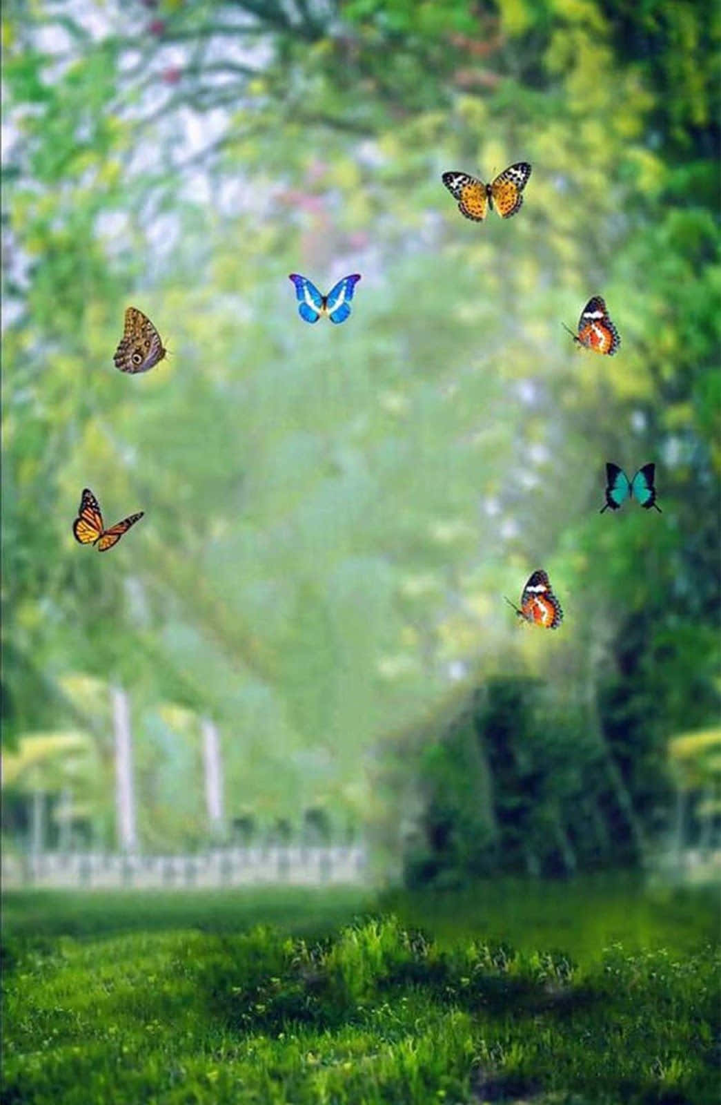خلفية CB