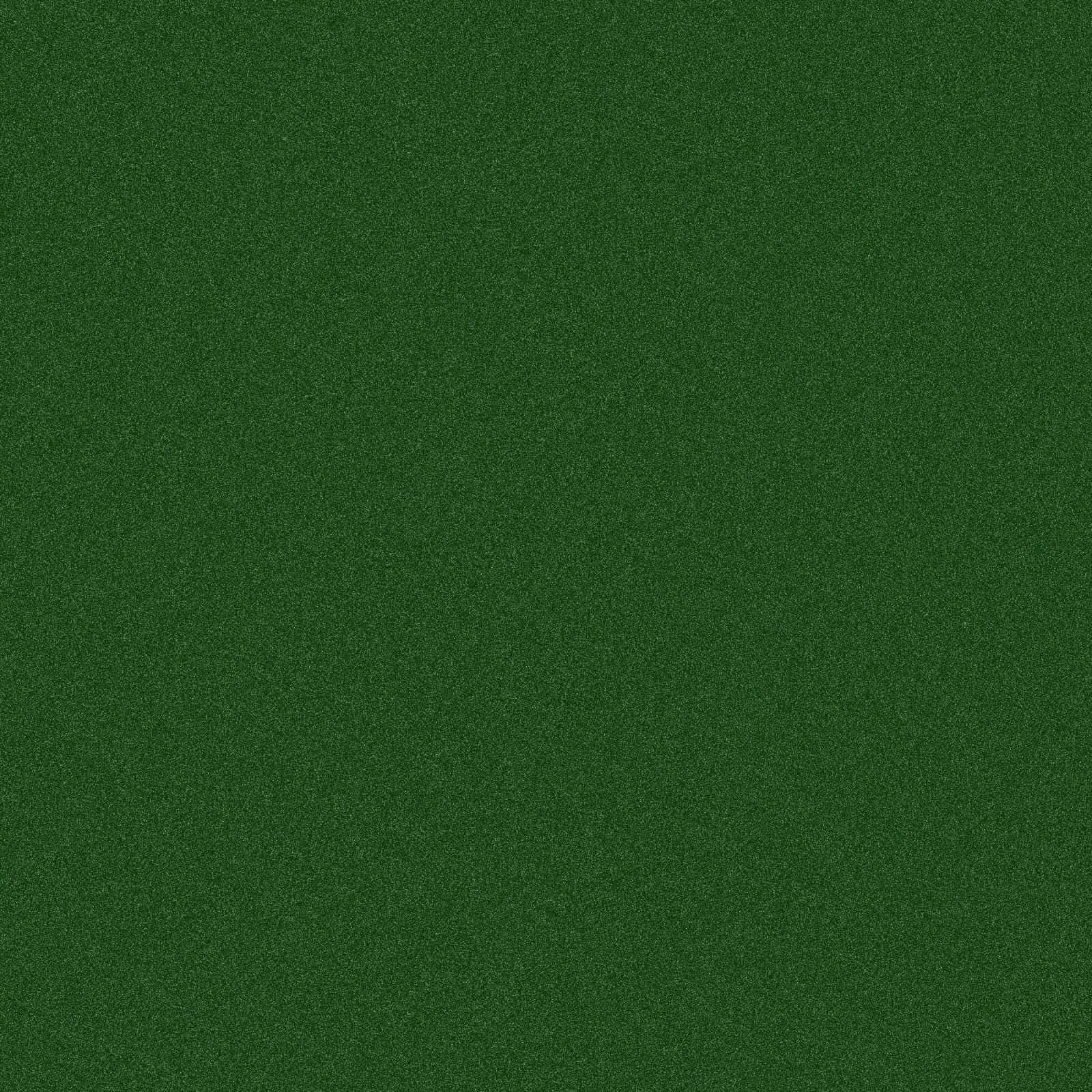 ملمس مخملي أخضر داكن سادة خلفية