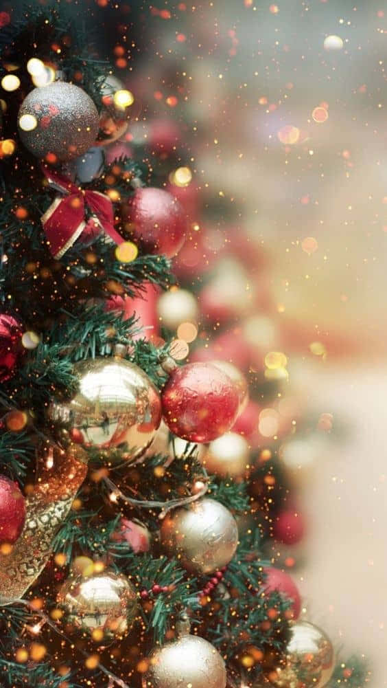 مناظر عيد ميلاد أبيض مثالي خلفية