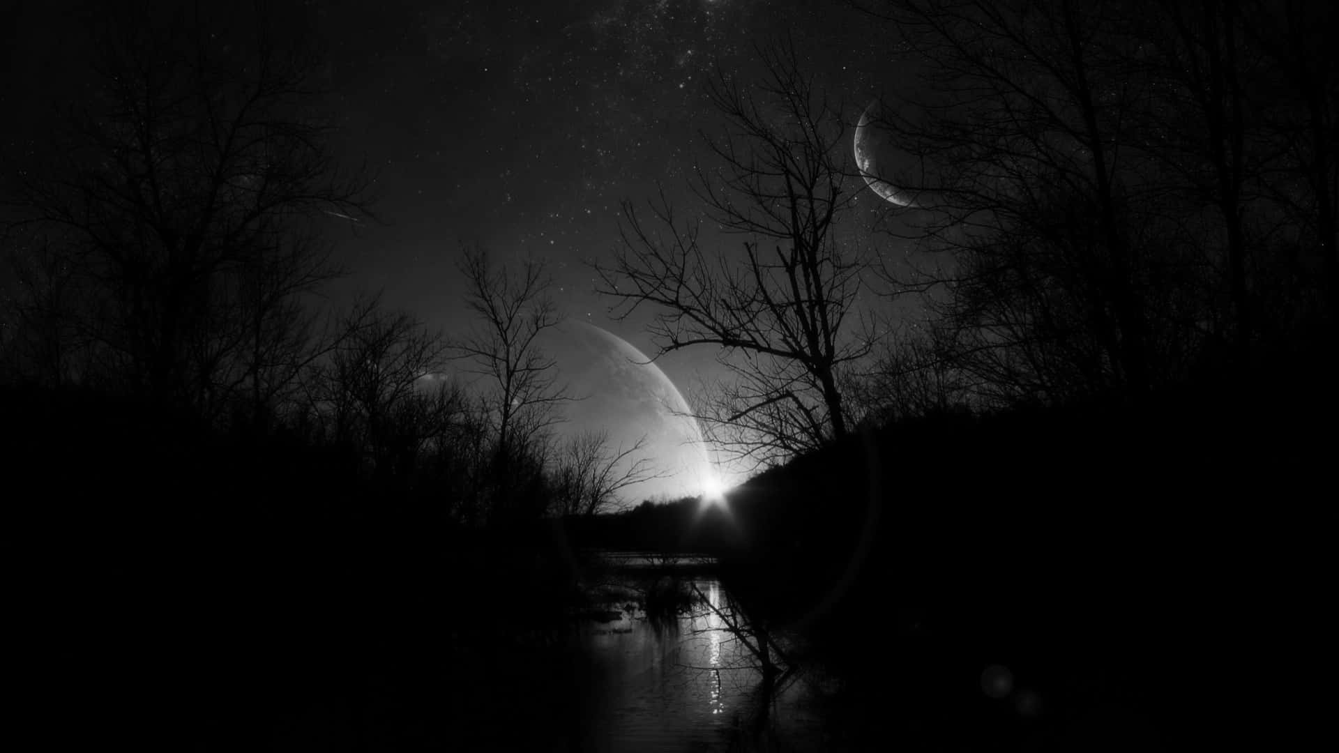 منظر نهر الغابة السوداء بدقة 1920x1080 خلفية