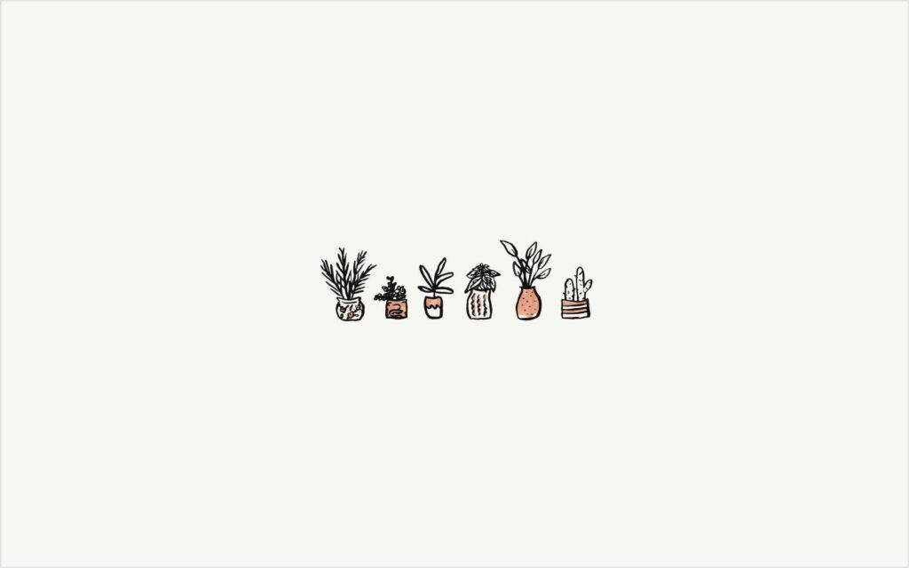 نباتات محفوظة في أصص من تصميم Pinterest للابتوب خلفية
