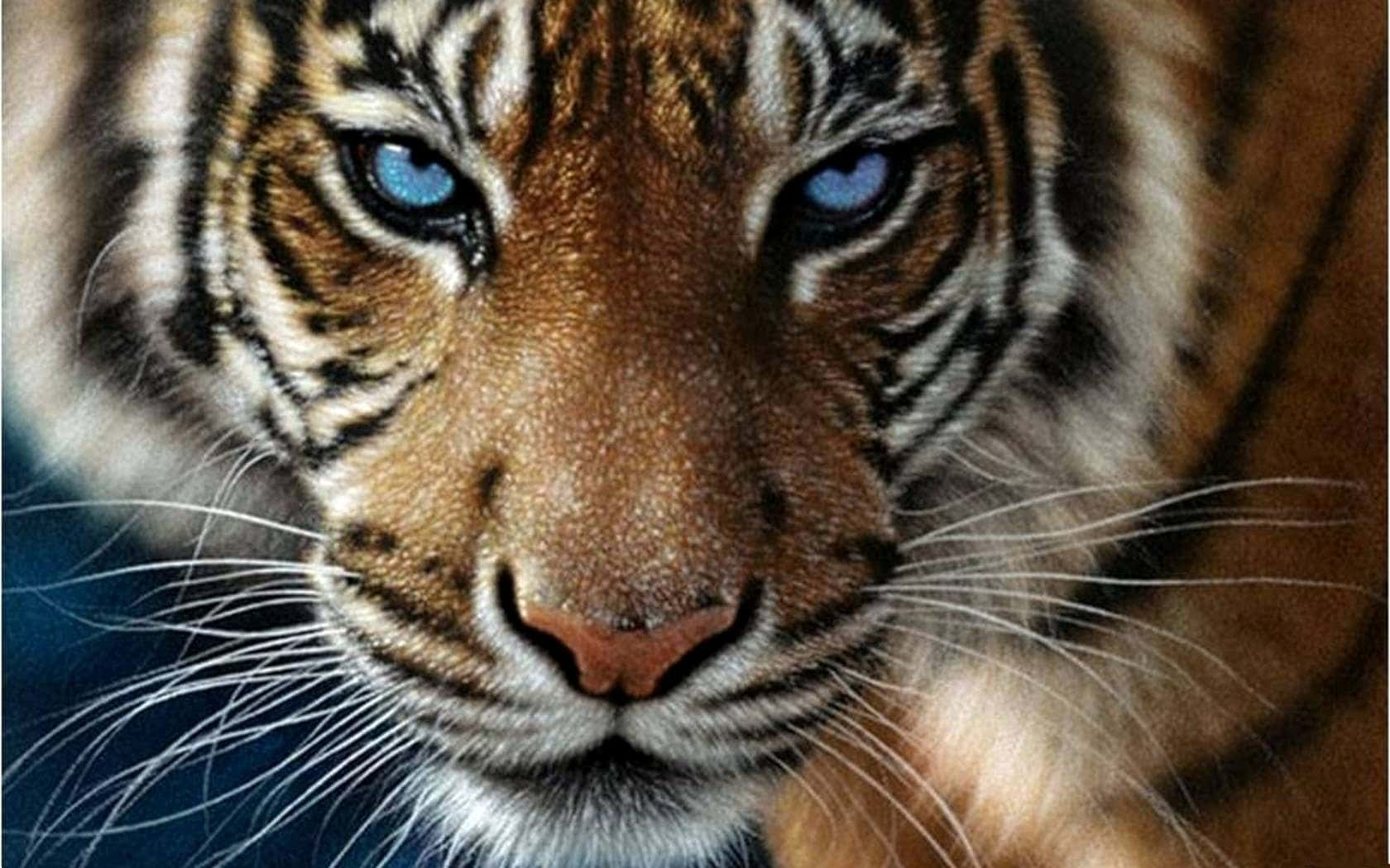 نمر بري مهيب في موطنه الطبيعي خلفية