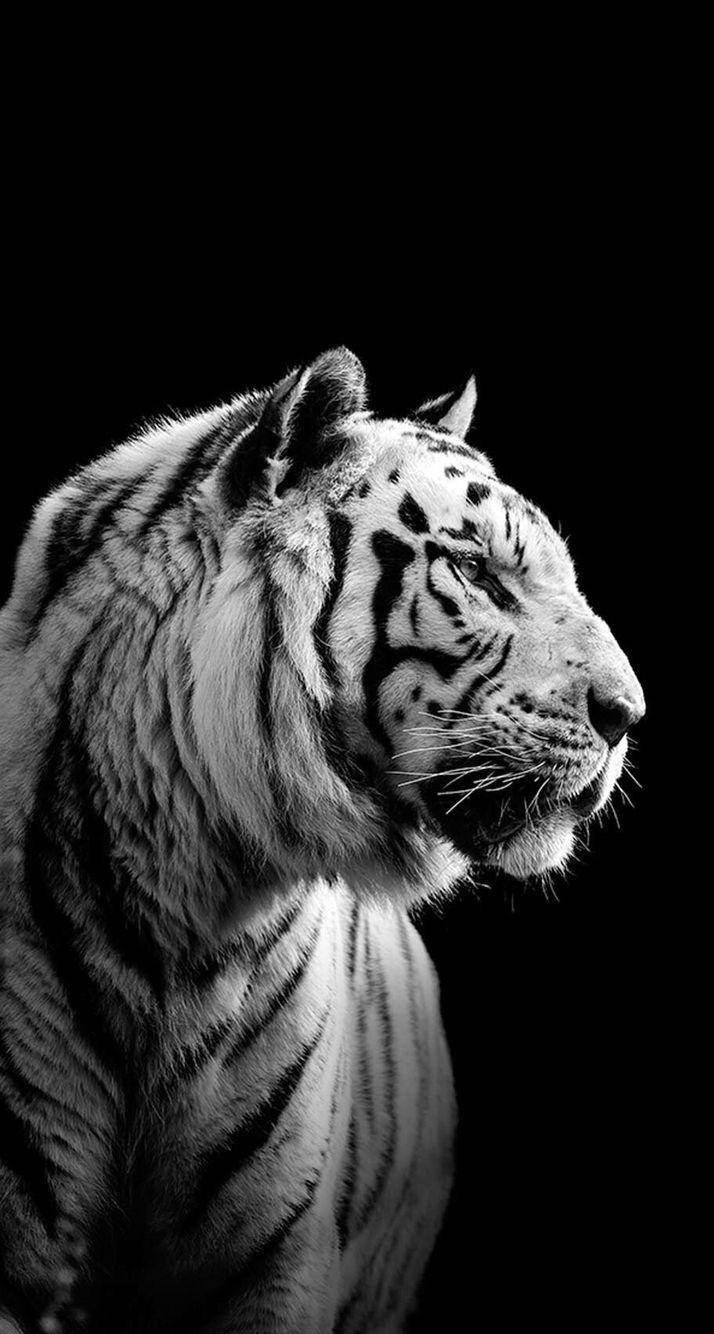 هاريماو بالأبيض والأسود خلفية