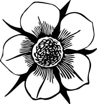 ورود على خلفية سوداء خلفية