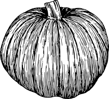 يقطينة في الظلام خلفية