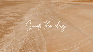 Seas The Day كريم جمالي