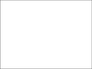 أبيض فارغ مع حدود سوداء
