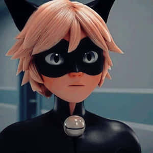 صور Cat Noir