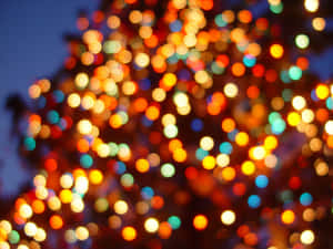 خلفية أضواء عيد الميلاد — أضواء عيد الميلاد خلفية