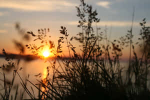 صور غروب شمس جميل