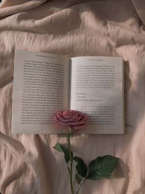 صور جمالية الكتاب — كتاب جمالي خلفية