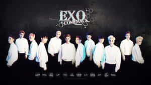 خلفية كيبوب — Kpop GIF خلفية