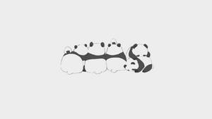 خلفية باندا كawaii في صف.