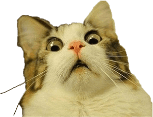 #مصدومة #قطة #حر_التعديل - خلفية شفافة لميم القطة، تحميل بصيغة HD PNG — Nyan cat خلفية
