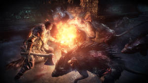 جرذان عملاقة في Dark Souls III — دارك سولز 3 خلفية
