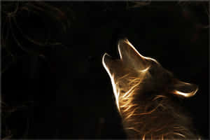 خلفية ذئب المجرة — الأسد المجري متحرك خلفية