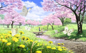 خلفية أزهار الكرز — زهر الكرز خلفية