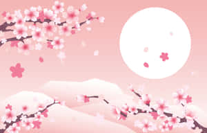 خلفية أزهار الكرز — زهر الكرز خلفية