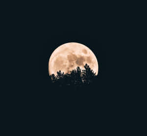 صور القمر المكتمل