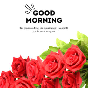 صباح الخير حبيبي عد تنازلي