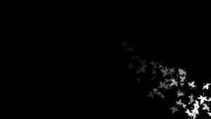 صور جمالية بالأبيض والأسود