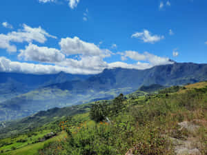 خلفية طبيعية، طبيعي، موارد طبيعية، طبيعة 4k، طبيعة، خط أفقي png