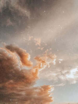 صور بنية جمالية — بني جمالي خلفية