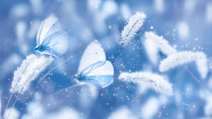 أزرق جميل