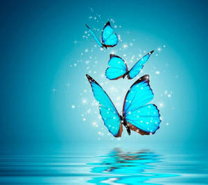 فراشات متلألئة لواتساب