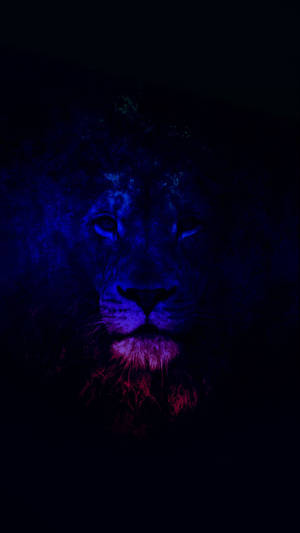فن أسد المجرة المظلم