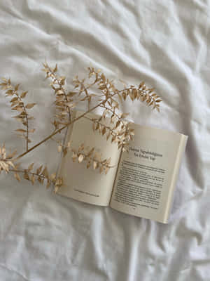 صور جمالية للكتب — كتاب جمالي خلفية