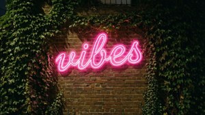 لافتة نيون مكتوب عليها 'vibes' على جدار من الطوب مغطى باللبلاب ليلاً. — جمالية مستقلة خلفية