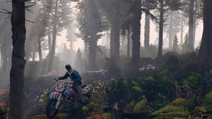 مشهد رائع من GTA: التملص من الشرطة — Gta خلفية