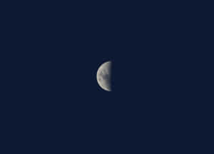 خلفية صورة
